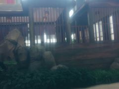 -郑州银基黄帝宫御温泉