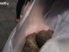 黑麻糍&nbsp;-叶氏麻糍(鼓浪屿店)
