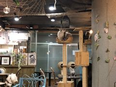 大堂-共舞时光猫咖·狗咖(新街口店)