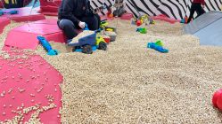 -Eureka优瑞卡儿童主题乐园(合生汇购物中心店)