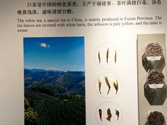 -中国茶叶博物馆(双峰馆区)