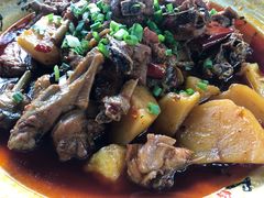 -青城甲(青城山店)