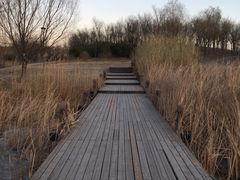 -马家湾湿地公园