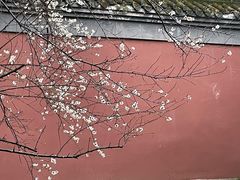 -钱王祠