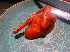 -鸽子侯·家宴·平价海鲜(绿地店)