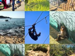 -西霞口神雕山野生动物世界