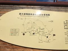 -莫尔道嘎国家森林公园