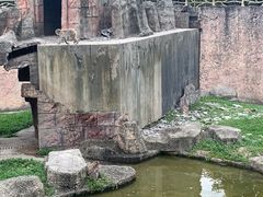 -南昌动物园