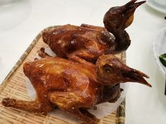 -五谷芳乳鸽王(海景店)