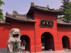 -洛阳白马寺