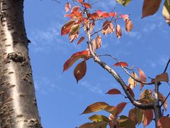 -杭州城北体育公园