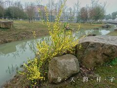 -滆湖低碳生态公园