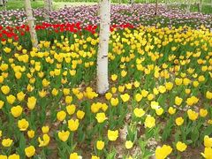 -长春公园(普阳街道)