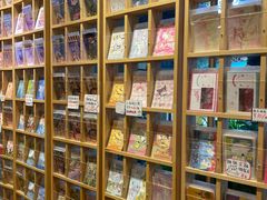 -猫的天空之城概念书店(束河店)