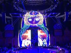 -俄罗斯国家大马戏团