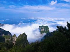 -王莽岭风景区