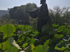 -郭守敬纪念馆