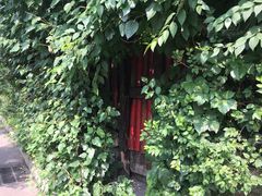 -斯多格书乡(北京大学畅春园店)