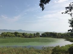 -上海市保健医疗中心(华东疗养院)