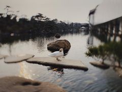 -罗红摄影艺术馆