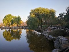 -北京西山国家森林公园