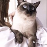 北京路独栋三层猫咖，男朋友赖着不肯走…