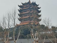 -黄鹤楼公园(黄鹤楼)