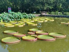 -国家植物园南园