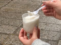 -洪馨椰子