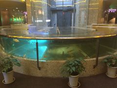 -中影国际影城(兰生大厦CINITY LED店)