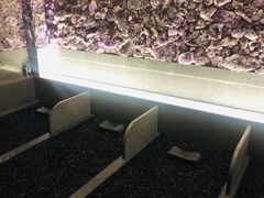 -重庆南山海昌汤都