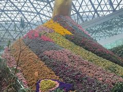 -花之城