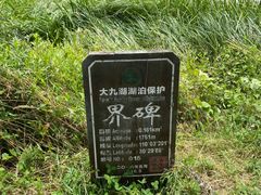 -大九湖