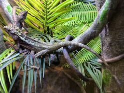 -酷嗒动物文化乐园(cutezoo西溪乐天城店)