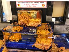 大堂-蟹道乐(道顿堀本店)