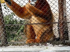 -哈尔滨北方森林动物园