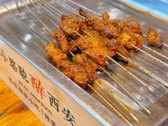 -福苗小骆驼烧烤(莲湖路店)