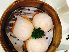 -新大咀港式茶餐厅(宝山万达店)
