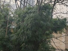 -武汉二七纪念馆