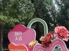 -太阳宫公园