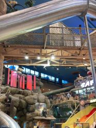 -卡通尼·Safari非洲探索乐园·生日会(金桥国际商业广场店)