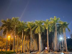 -深圳国际园林花卉博览园