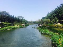 -映月湖公园