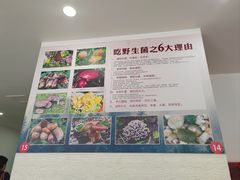 -江川野生菌火锅铜锅鱼(贵清火锅店)