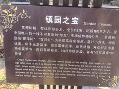 -朴园