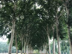 -河南省黄河迎宾馆