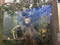 -国家自然博物馆