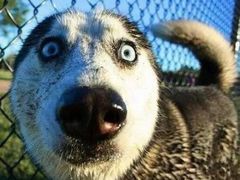 -歌迷量贩KTV(光彩市场店)