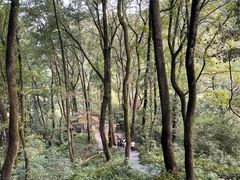 -桂林古东瀑布景区