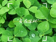 -嘉北郊野公园